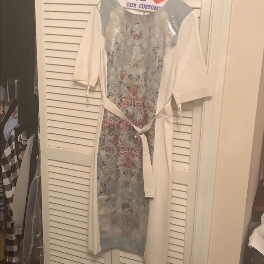 Ted baker dress fitted